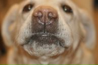 Фотография Музыкантовой Натальи