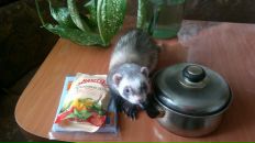 Фотография Смирновой Евгении