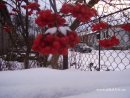 Ігор Обрин фотография #16 (источник - https://vk.com/id12181356)