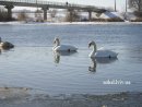 Ігор Обрин фотография #23 (источник - https://vk.com/id12181356)