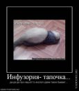 Лєра Лєрочка фотография #3 (источник - https://vk.com/id58026918)