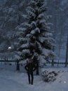 Инна Соручан фотография #7 (источник - https://vk.com/id52210905)