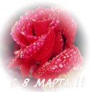 Антон Орлов фотография #48 (источник - https://vk.com/id640004)