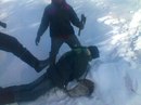 Олексій Підмаливський фотография #28 (источник - https://vk.com/id162053898)