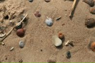 Анна Брагина фотография #17 (источник - https://vk.com/id230231)