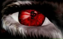 Сергій Вовк фотография #1