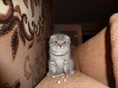 Шевчук Сергій фотография #27 (источник - https://vk.com/id20495548)