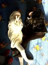 Софійка Ярема фотография #8 (источник - https://vk.com/id162576194)