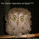 Фотография Компанеец Евгении