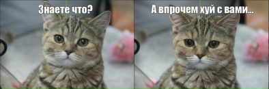 George Fallenz фотография #20 (источник - https://vk.com/id1192059)