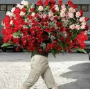 Танюшка Браніцька фотография #33 (источник - https://vk.com/id166093989)