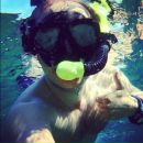 Kerem Selimoglu фотография #23 (источник - https://vk.com/id156708264)