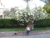 Ірина Лісович фотография #27 (источник - https://vk.com/id19871993)