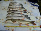 Сергій Кравчук фотография #27 (источник - https://vk.com/id163254013)