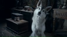 Фотография Радухина Александра