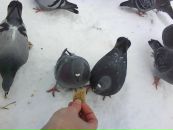 Фотография Крюковой Елены