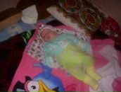 Толік Балянт фотография #44 (источник - https://vk.com/id26316805)