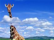 Фотография Соловьевой Виктории