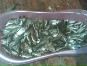 Андрій Мазур фотография #45 (источник - https://vk.com/id76272170)