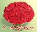 Свєта *** фотография #5 (источник - https://vk.com/id151590320)