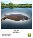 Діма Мікулеску фотография #33 (источник - https://vk.com/id148218934)