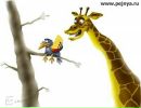 Фотография Франкова Ильи