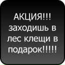 Діана Роса фотография #45 (источник - https://vk.com/id65331014)