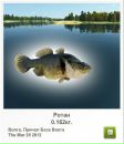 Назар Галій фотография #6 (источник - https://vk.com/id147735567)