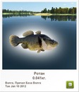 Вадім Клямар фотография #39 (источник - https://vk.com/id159188464)