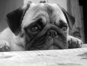 Фотография Максимовой Екатерины