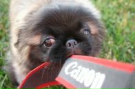 Евгений Савин фотография #29 (источник - https://vk.com/id5156621)