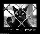 Сергій Балецький фотография #31 (источник - https://vk.com/id61719732)