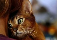 Фотография Лебедевой Татьяны