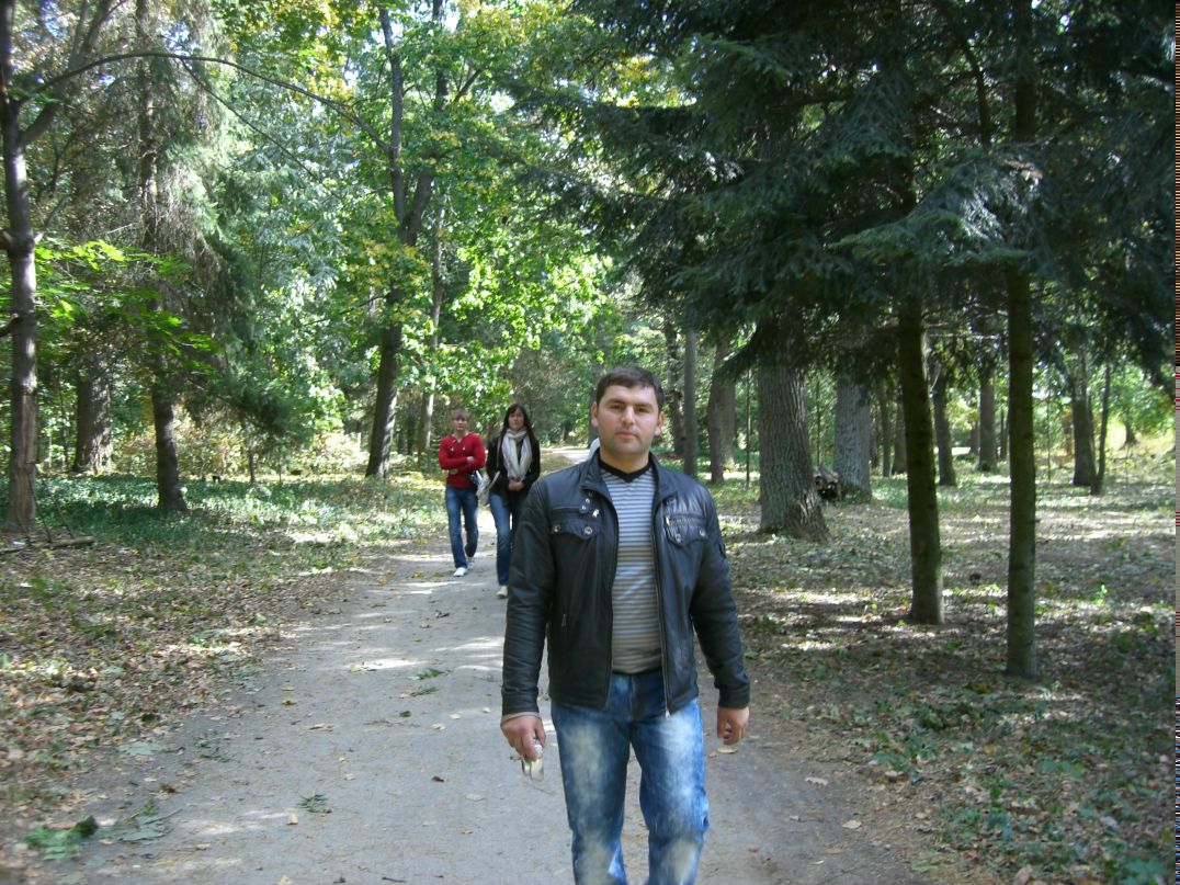 Server Adjiev фотография #19