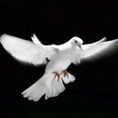 Міша Катрук фотография #24 (источник - https://vk.com/id170109933)