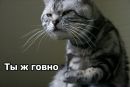 Дімон Козачинський фотография #2 (источник - https://vk.com/id160804933)