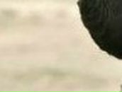 Юлічка Ящук фотография #3 (источник - https://vk.com/id19781727)