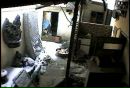 Bayram Bayramm фотография #42 (источник - https://vk.com/id164847277)