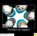 Фотография Мошковой Светланы