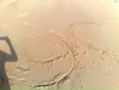 Фотография Лебедевой Элечки