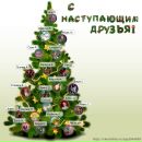 Фотография Хумарик Шабанова