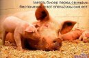 Діма Остапишин фотография #31 (источник - https://vk.com/id26627804)