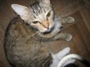 Катя Fr фотография #36 (источник - https://vk.com/id642052)