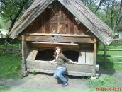 ❤ Mysya фотография #23 (источник - https://vk.com/id68672691)