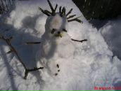 ❤ Mysya фотография #8 (источник - https://vk.com/id68672691)