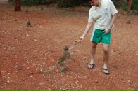 Ганс Эберц фотография #37 (источник - https://vk.com/id2999641)