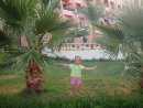 Утюсічка Сонечко фотография #9 (источник - https://vk.com/id33208820)