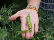 Фотография Столяров Алексей