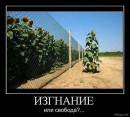 False Mirror фотография #27 (источник - https://vk.com/id64951534)