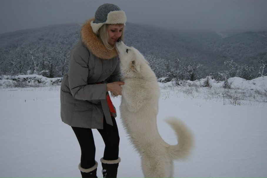 №17, Екатерина Фукалова №17, Екатерина Фукалова